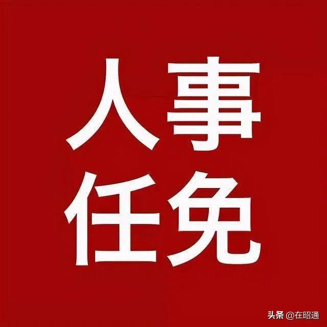 巧家人事任免新篇章，实效性计划设计展望_最新动态