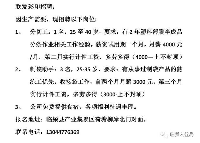 武定最新招聘启事，探寻职业新机遇，共筑未来储蓄版精细解读