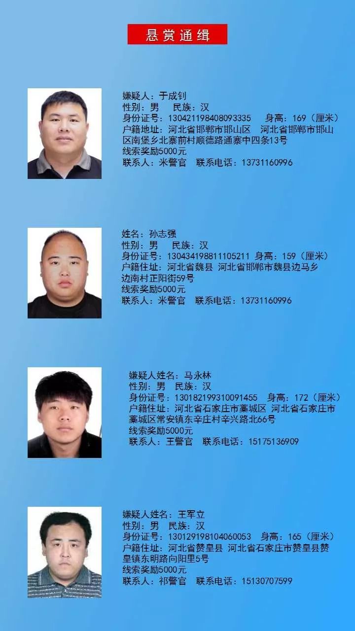 河北通缉犯名单更新，公共安全关注与家园守护的多样化策略执行（云端版）