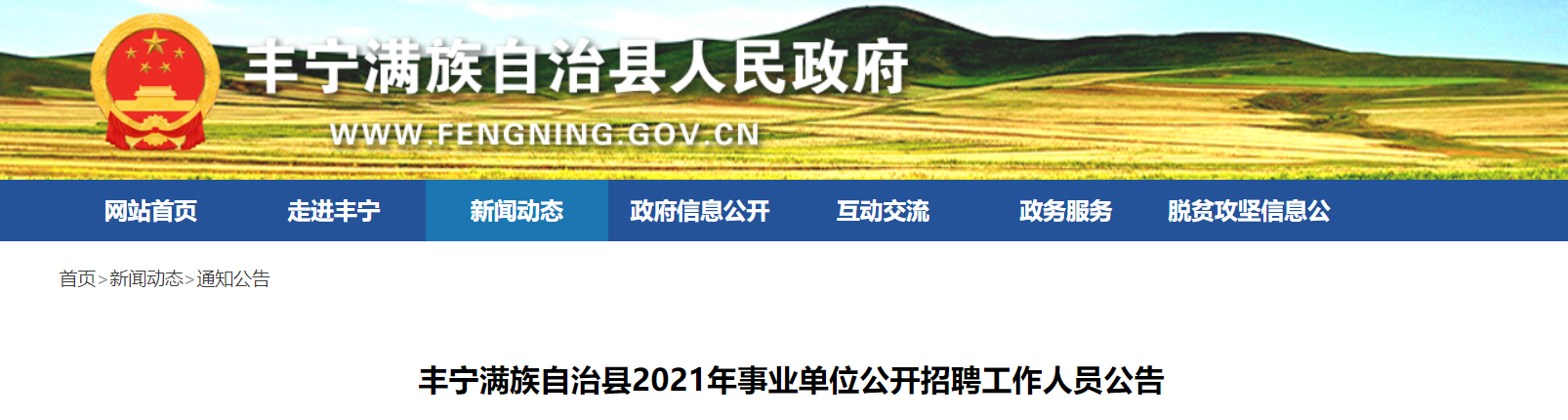 丰宁最新招聘信息概览，探寻职业发展机遇，快速设计解答计划